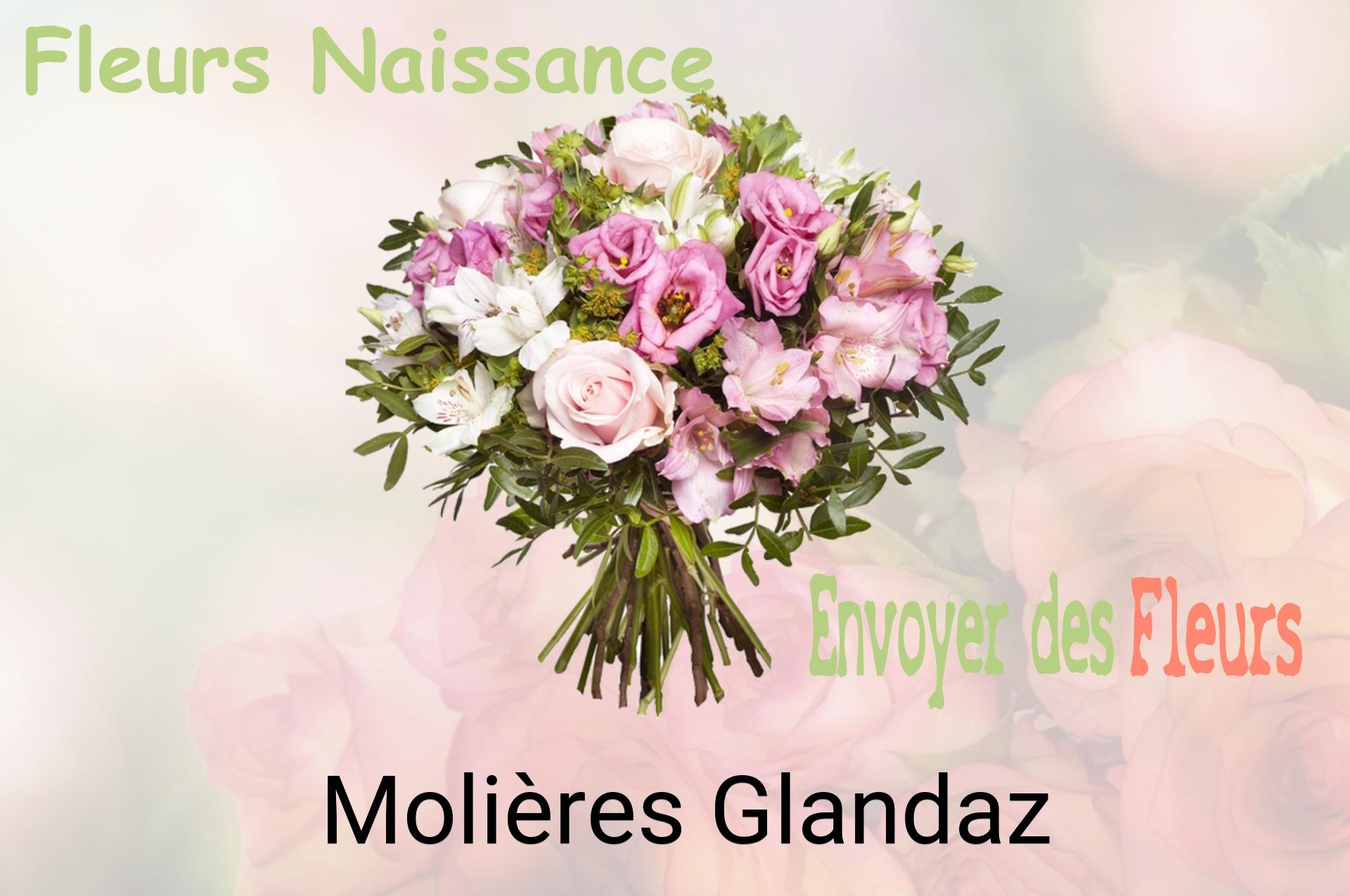 Bouquet de fleurs de naissance livré à Molières-Glandaz